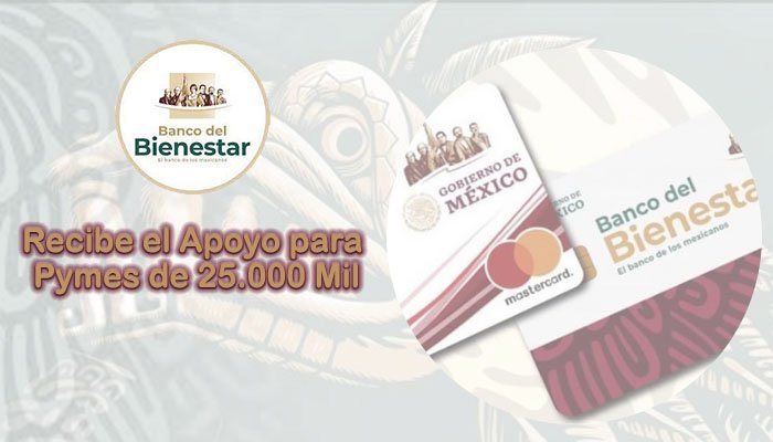 Recibe el Apoyo para Pymes de 25.000 Mil